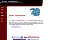 Desktop Screenshot of enginesurveyor.com